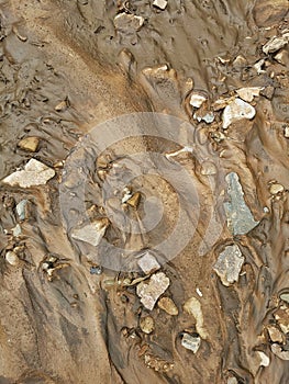 Sand surface with relief caused by water.  Sand after the rain.  gazelles and rocks in the stream