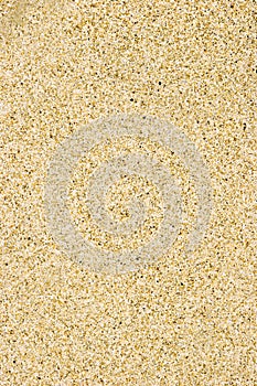 Sand Texture