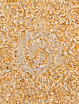 Sand Texture