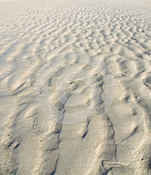 Struttura della sabbia 