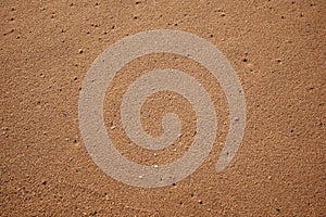 Sand texture for background. Close up, top view