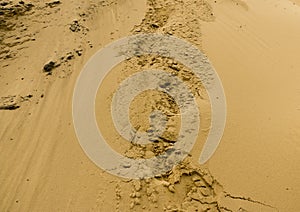 Sand texture background. Sand pattern texture