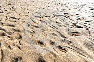 Sand Texture Background, Sandy Beach Pattern, Beige Ocean Dune Wallpaper, Wet Beach