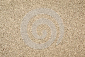 Sand texture for background. Top view