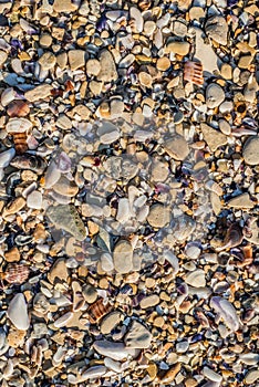 Sand Texture Background. Top View of a Beach or Desert Ground Surface. Close Up Macro