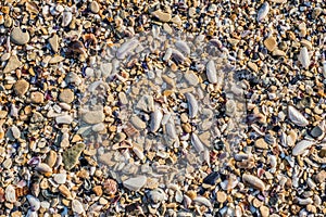 Sand Texture Background. Top View of a Beach or Desert Ground Surface. Close Up Macro