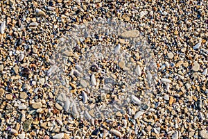 Sand Texture Background. Top View of a Beach or Desert Ground Surface. Close Up Macro