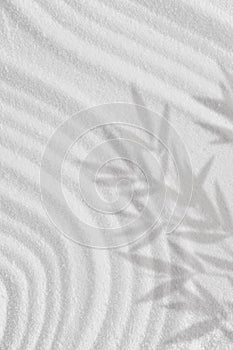 Sand texture with bamboo leaves shadow on spiritual pattern,Japanese Zen Garden white sand surface with coconut leaf shadow on