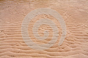 Sand texture on beach splash with water