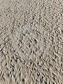 Sand texture on the beach. Texture, copy's pace. Montesilvano beach in Abruzzo