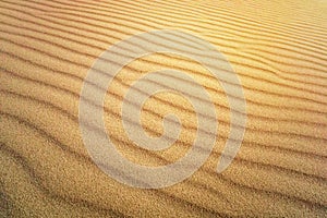 Sand Texture. Brown sand. Background from fine sand. Sand background. yellow dune in the sun. The sun shines on the sand photo