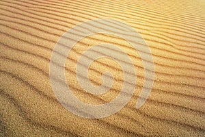 Sand Texture. Brown sand. Background from fine sand. Sand background. yellow dune in the sun. The sun shines on the sand