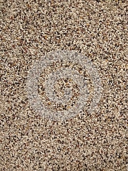 sand texture sand coarse, plaster
