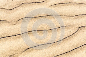 Sand texture.Dented wave of the blow of the wind