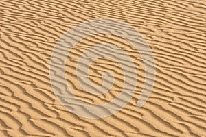 Sand texture.Dented wave of the blow of the wind.