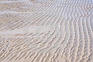 Sand texture.Dented wave of the blow of the wind