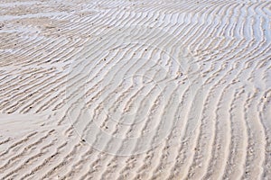 Sand texture.Dented wave of the blow of the wind