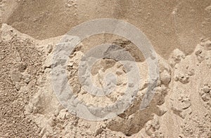 Struttura della sabbia 