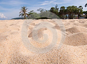 Sand texture pattern beach sandy background