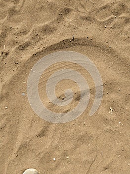 Sand texture. Sandy beach for background