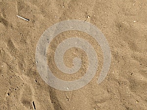 Sand texture. Sandy beach for background