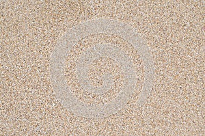 Sand texture. Sandy beach for background.