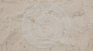 Sand texture. Sandy beach for background. Top view