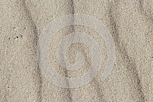 Sand texture. Sandy beach for background. Top view