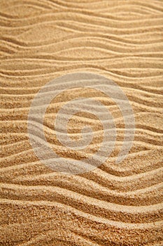 Sand texture. Sandy beach for background. Top view