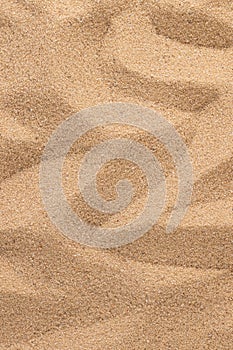 Sand texture. Sandy beach for background. Top view