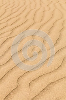 Sand texture. Sandy beach for background.