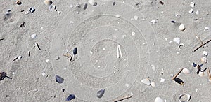 Sand texture with seashells.