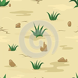 Sand texture with stones and grass
