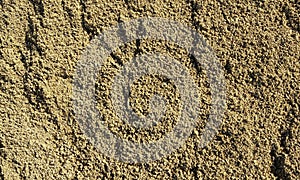 Sand.Sand texture.Sand background.Sandy soil.Sand texture. Sandy, marine.