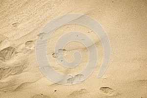 Sand texture with traces for backgrounds
