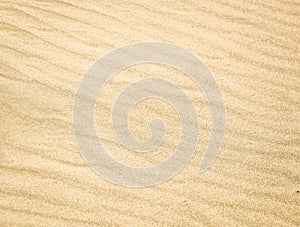 Sand texture with traces for backgrounds