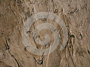 Sand texture with traces of water flowing and dog paws prints