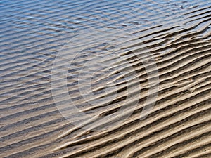 Sand Textures At Low tide Lyme Regis