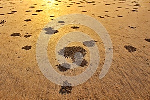 Sand Textures at the beach