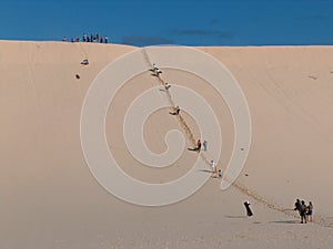 Sand Tobogganing photo