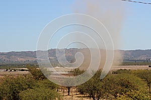 Sand tornado in the field