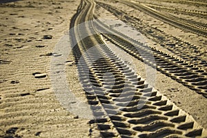 Sand tracks photo