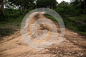 A sand trail going into a forest in India