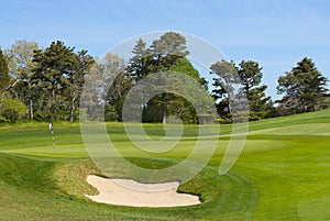 Sand trap and putting green at golf course