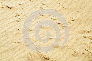 Sand with tubercles on daylight, background