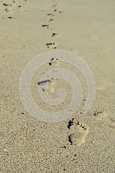 Sand Walking footprint on La Pedrera, Rocha, Uruguay photo
