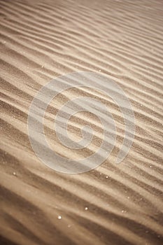 Sand Waves