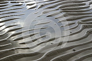 Sand waves and bird footprints