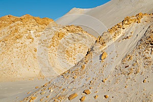 Sand waves in the desert. Bushes in the sand. Petrified sand.