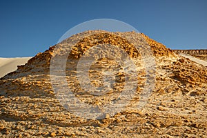 Sand waves in the desert. Bushes in the sand. Petrified sand.